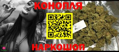 стаф Нальчик
